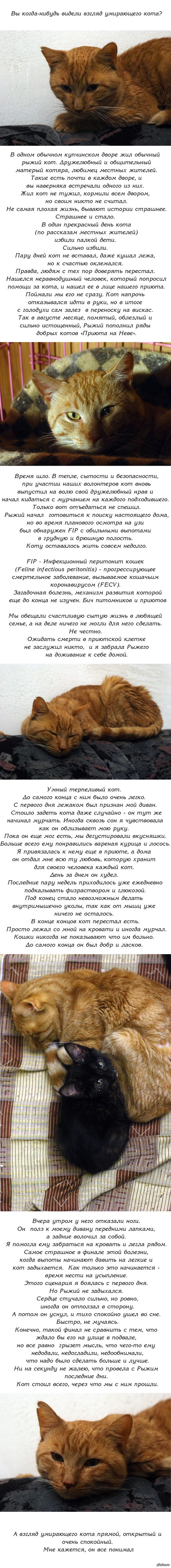 Кракен сайт ссылка kr2web in