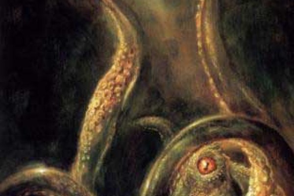Kraken 6at